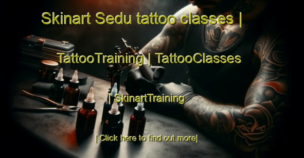 Skinart Sedu tattoo classes | TattooTraining | TattooClasses | SkinartTraining-China